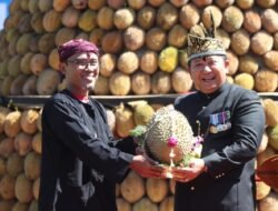 Keren, 2 Varietas Durian Jember Resmi Terdaftar di Kementan RI