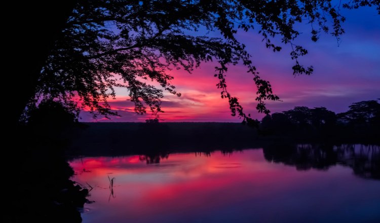 Sepotong Roti Diatas Telaga Rindu. (Foto: Pixabay.com)