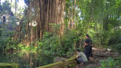 Petinggi Jembrana Kepincut Situs Sejarah dan Budaya di Arjasa Jember