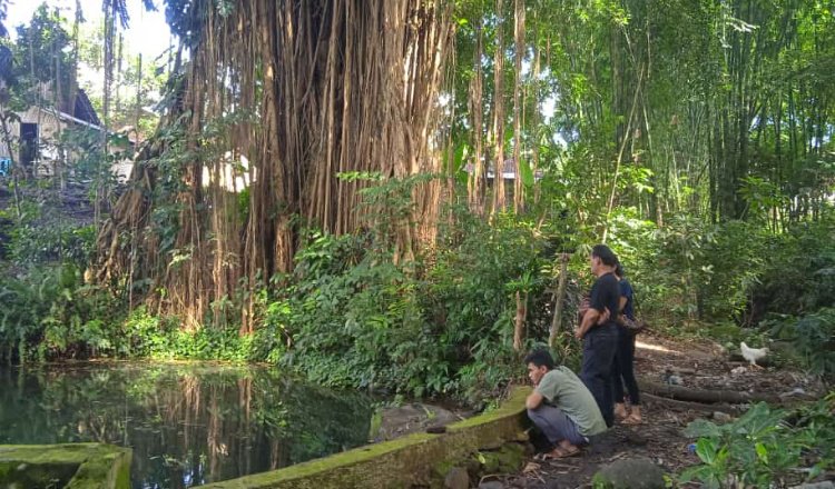 Para tamu melakukan ritual pengambilan air suci di Sendang Tirta Amertha Rajasa, Dusun Bendelan, Desa/Kecamatan Arjasa. (Foto: Diskominfo Jember)