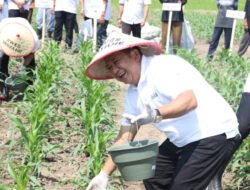 Impian Bupati Jember untuk Mengolah Hasil Tani Masih Belum Terwujud
