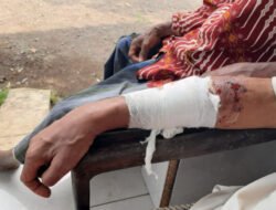 Bikin Resah! Monyet Liar Serang Warga dan Hewan Ternak di Pakusari Jember