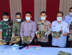 Polres Jember Musnahkan 10 Kg Ganja Hasil Sitaan dari Sindikat Antar Provinsi