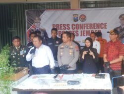 Gawat! Warga Jember Mulai Budidaya Pohon Ganja