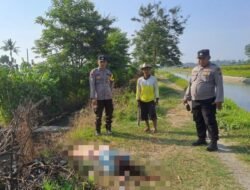 Geger Penemuan Mayat Perempuan di Jember: Leher Tergorok