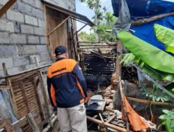 Ditinggal Ngobrol dengan Tamu, Tumpukan Kayu Warga Situbondo Terbakar