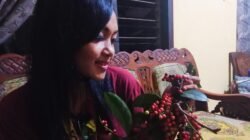 Buah Wuni keberadaanya yang langka namun banyak manfaatnya. (Foto: Endang - zonaindonesia.co.id )