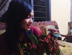 Buah Wuni yang Langka dan Banyak Manfaatnya