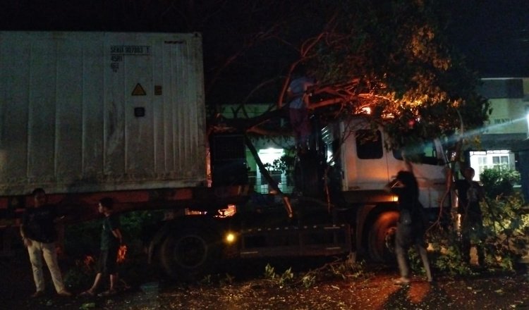 Pusdalops BPBD Situbondo setibanya lokasi pohon Trembesi yang tumbang, Rabu (20/3/2024). (Foto: Pusdalops BPBD Situbondo)