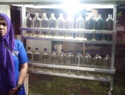 Kok Tega! Maling di Jember Gasak Uang Janda Penjual Bensin Ecer