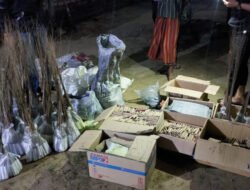 Di Bangkalan, Ribuan Petasan dan 2 Kuintal Bubuknya Diamankan Polisi