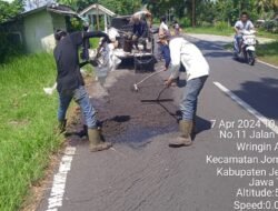 Setelah Viral, Pemkab Jember Langsung Perbaiki Jalan Rusak di Kencong