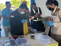 Terciduk! Selundupan 190 Reptil ke Jakarta Gagal Total