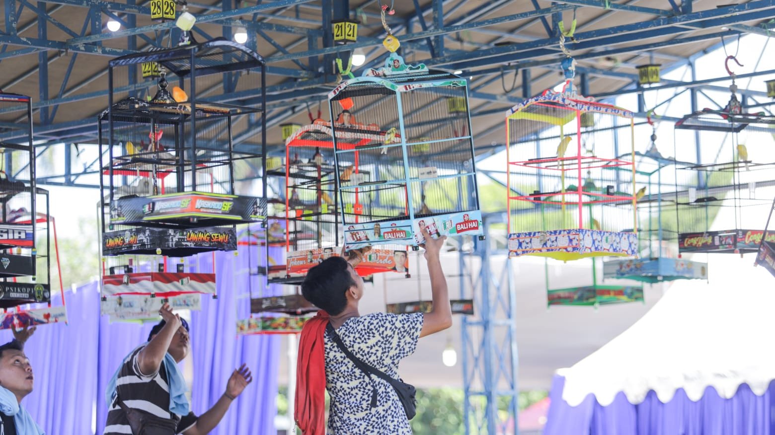 Lomba burung berkicau di Alun-alun Jember. (Foto: Diskominfo Jember)