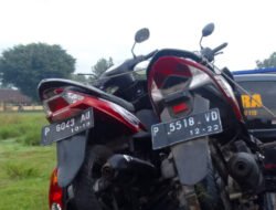 Komplotan Maling Kambing di Jember Kabur ke Tengah Tebu Tinggalkan 2 Motor