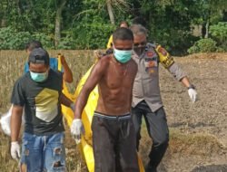 Hilang Berhari-hari, Jasad Seorang Nenek di Jember Ditemukan Membusuk di Sawah