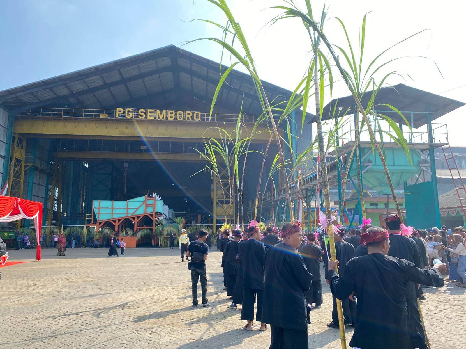 Tradisi tebu manten . (Foto: Istimewa)