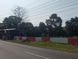 Penjual Kambing Kurban di Jember Rela Tidur di Area Kuburan Demi Meraup Cuan