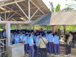 SMP Insan Terpadu Probolinggo Laksanakan Pembelajaran P5 di KUD Argopuro Krucil