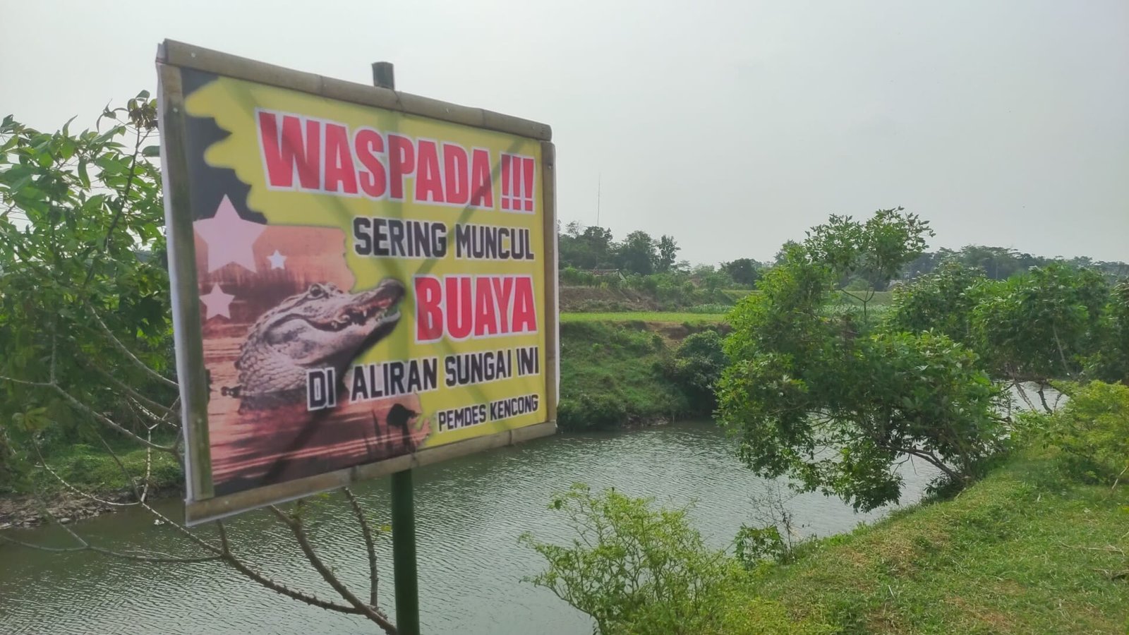 Banner imbauan kepada masyarakat agar tidak mendekati Sungai Santer Jember. (Foto: Istimewa)