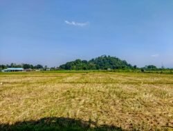 Tarif PBB Naik, Bidang Pertanian dan Peternakan di Jember Dapat Ajukan Tarif Khusus