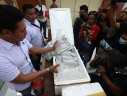 Jual Beli Benih Lobster Ilegal Terbongkar di Banyuwangi, Dua Tersangka Ditangkap!