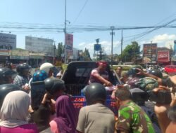 Harga Anjlok, Petani Obral 500 Kg Tomat di Depan DPRD Jember
