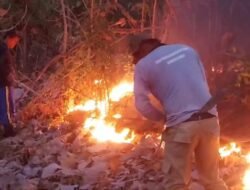 Hutan Jati Seluas 5.70 Hektar di Situbondo Terbakar