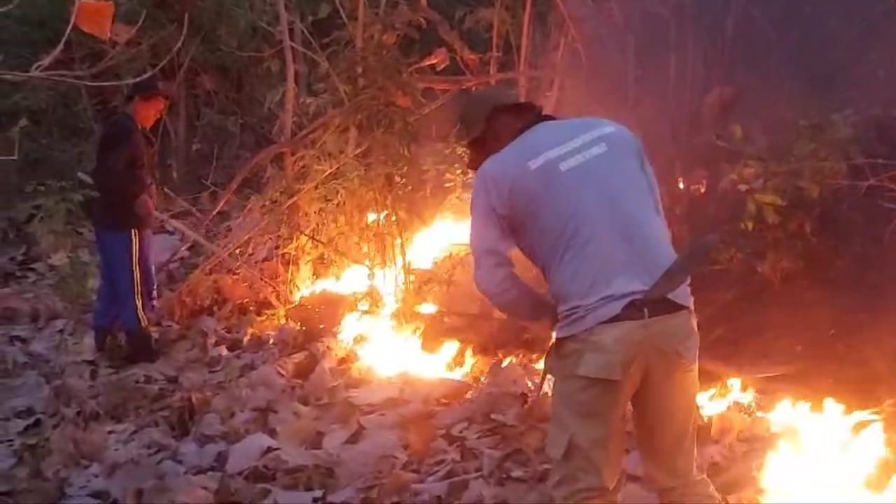 Warga memadamkan api di lahan hutan jati. (Foto: Pusdalops BPBD Situbondo)