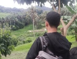 Desa Sidan Bali: Oase Hijau untuk Menyegarkan Otak dan Jiwa
