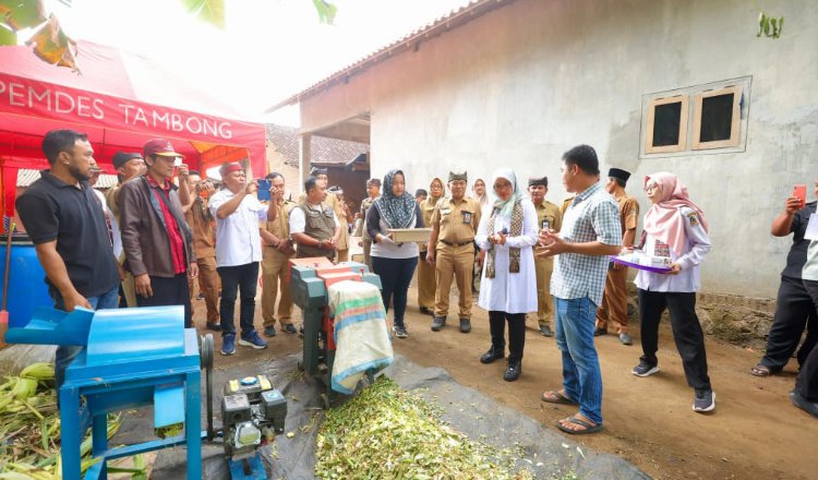 Bupati Banyuwangi meninjau pelatihan pembuatan pakan fermentasi bagi petani. (Foto: BeritaBwi)