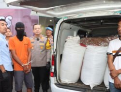 Sempat Kabur Dua Minggu, Pencuri Tembakau dan Mobil di Tulungagung Diringkus Polisi: Terancam 9 Tahun Penjara