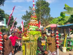 Meriahkan HUT RI, Warga Jombang Jember Gelar Pawai Grebeg Gunungan Nusantara