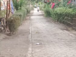 Selain Aspal Lapen dan Rabat Beton, Jalan Paving di Mrawan Jember Senilai Rp141 Juta Juga Mulai Rusak