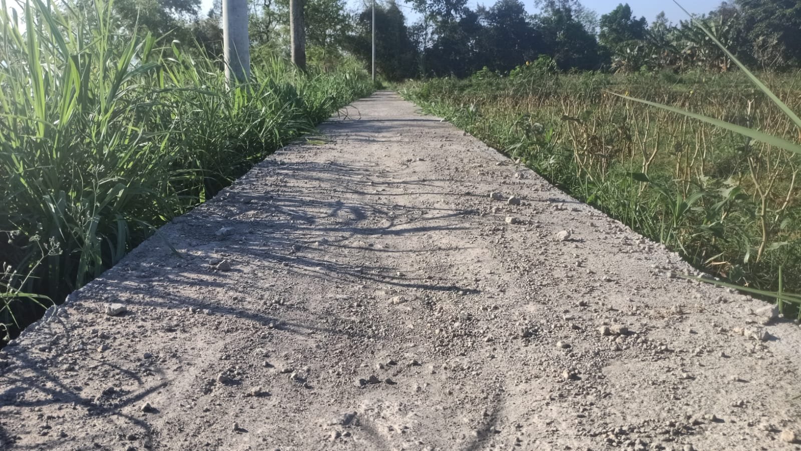 Kondisi jalan rabat beton di Dusun Lengkong Toko, Sabtu (7/9/2024). (Foto: Teamwork)