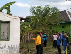 Diterjang Angin Kencang, Pohon Mangga di Situbondo Tumbang Timpa Rumah Warga
