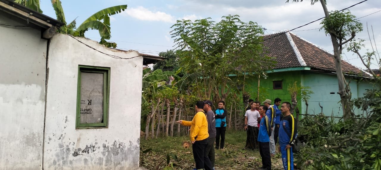 Lokasi pohon tumbang yang menimpa rumah warga. (Foto: Pusdalops BPBD Situbondo)