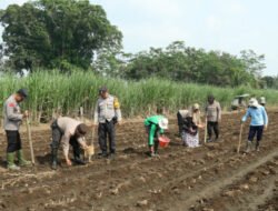 Polresta Malang Kota Dorong Swasembada Pangan Nasional melalui Program Asta Cita