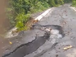 Jalan Aspal Senilai Rp14 Miliar di Bandealit Jember Ambles, Padahal Baru Dibangun