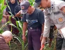 Jember Geger! Seorang Pria Ditemukan Tewas di Tengah Sawah Bersanding Gas LPG 3 Kg