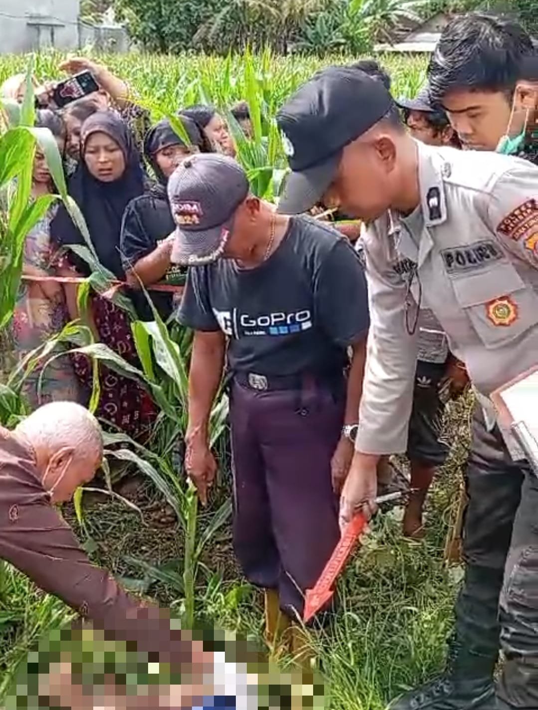 Anggota Polsek Mumbulsari memeriksa jasad seorang pria yang ditemukan di pematang sawah, Sabtu (30/11/2024). (Foto: Tangkapan layar video amatir)