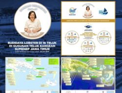 Balad Grup Mulai Mengurus Perizinan Berbudidaya Lobster