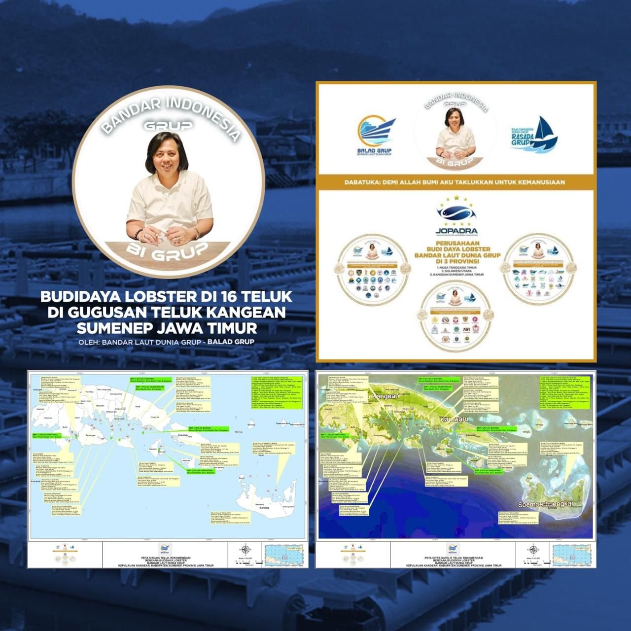 Poster sebaran budidaya lobster Balad Grup. (Foto: Istimewa)