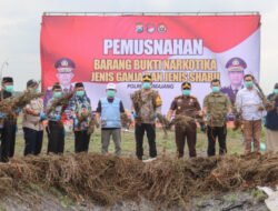 Polres Lumajang Ungkap Ladang Ganja Terbesar di Jawa, Pj Bupati: Komitmen Perangi Narkoba