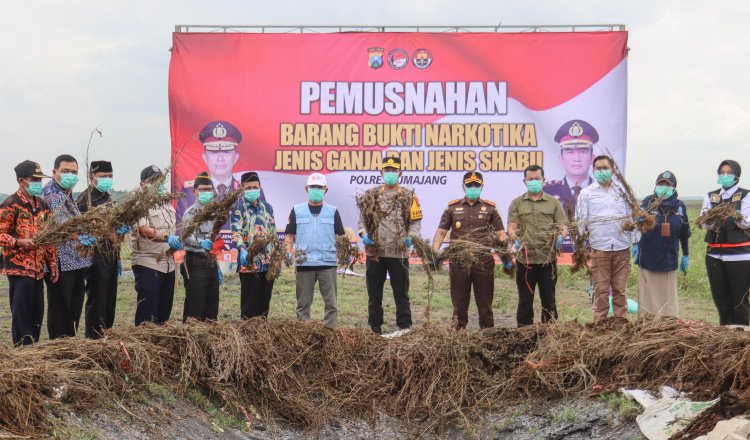 Polres Lumajang musnahkan barang bukti ganja dan sabu, Jumat (5/12/2024). (Foto: Humas Polres Lumajang untuk zonaindonesia.co.id)