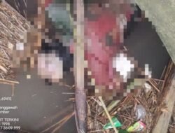 Jember Geger! Mayat Pria Ditemukan Mengapung di Dam Talang Jenggawah