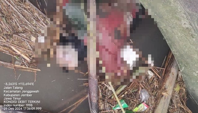 Mayat seorang pria ditemukan mengapung di bendungan Jalan Talang. (Foto: Istimewa)