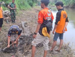 Warga Jember Temukan Bangkai Buaya Berukuran 1,5 Meter di Pinggir Sungai Bondoyudo