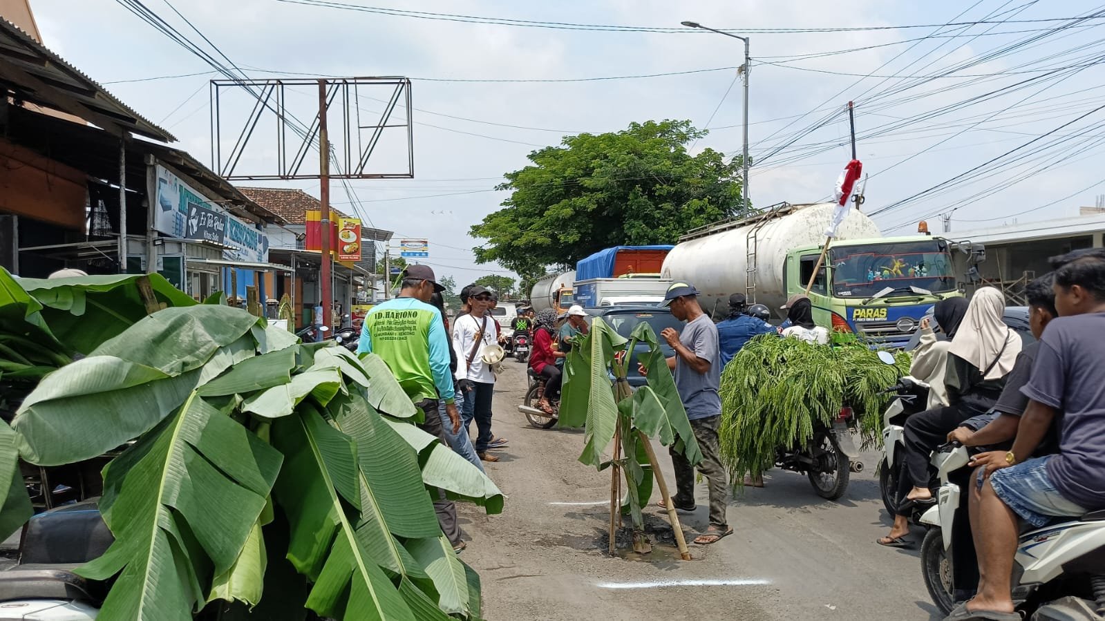 Warga menanamkan pohon pisang di jalan berlubang jalur Rambipuji-Puger, Rabu (8/1/2025). (Foto: Teamwork)