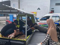 Dua Pemuda Kencong Jember Tergilas Truk Bermuatan Batu Bara Asal Probolinggo
